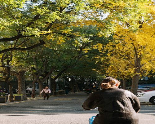 A person walking through a city park full of trees in autumn